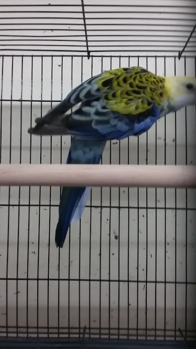 Arrieros Pet Shop Picture 4