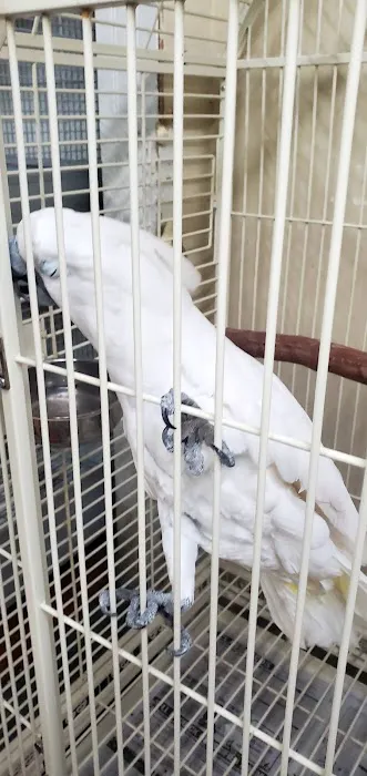 Arrieros Pet Shop Picture 6