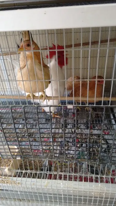 Arrieros Pet Shop Picture 8