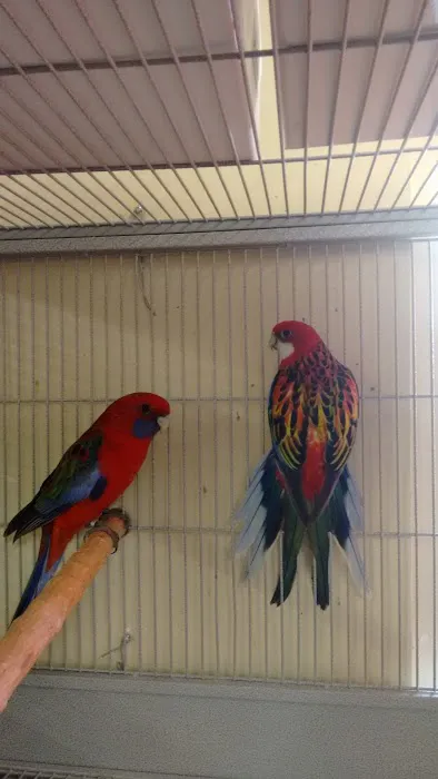 Arrieros Pet Shop Picture 10