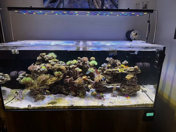 Aqua SD Picture 2