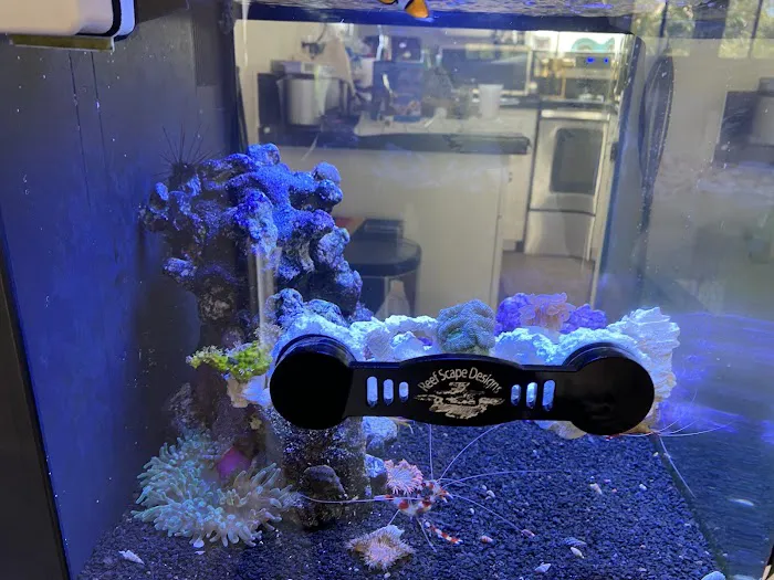 Aqua SD Picture 9