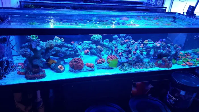 Aqua SD Picture 3