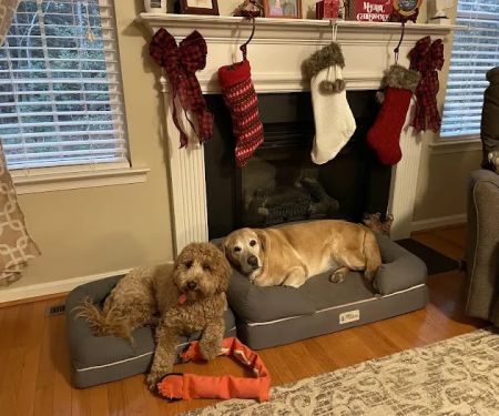 Calvert Well Pet Clinic