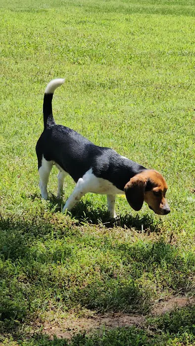 Calvert Well Pet Clinic Picture 10