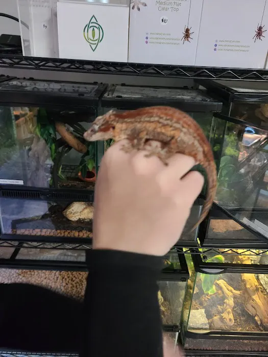 San Diego Reptile Co. Picture 2