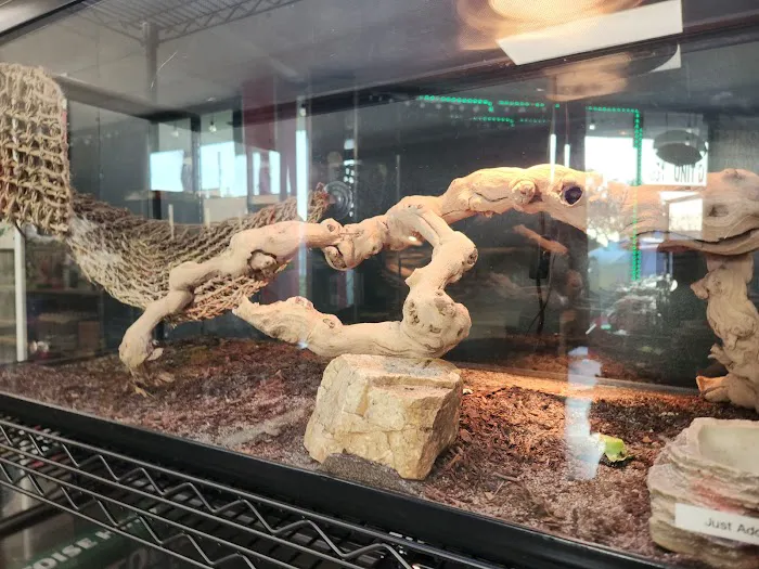 San Diego Reptile Co. Picture 5