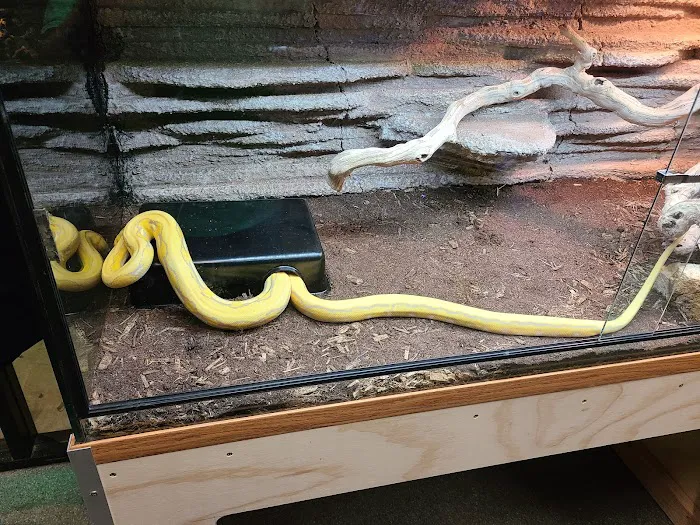 San Diego Reptile Co. Picture 8