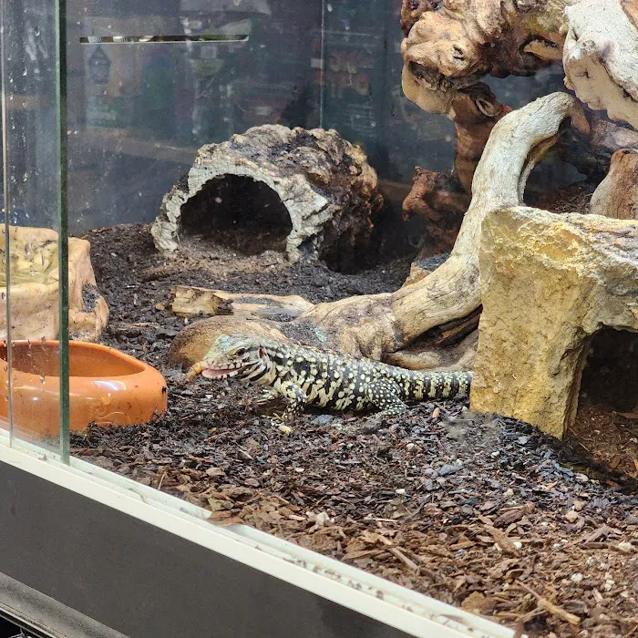 San Diego Reptile Co. Picture 9