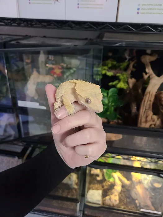 San Diego Reptile Co. Picture 1