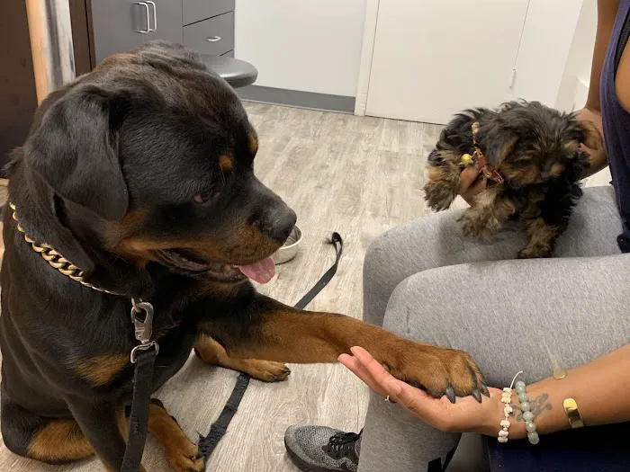 VCA Coolridge Animal Hospital Picture 10