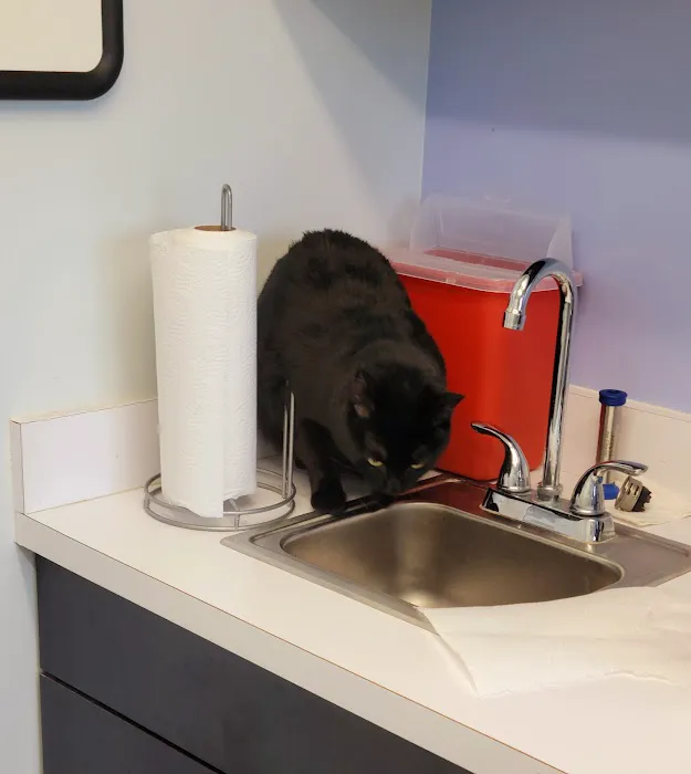 VCA Coolridge Animal Hospital Picture 1
