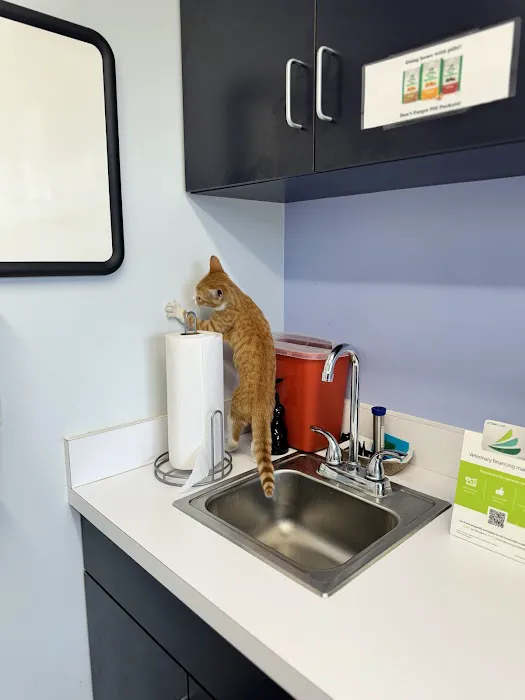 VCA Coolridge Animal Hospital Picture 8