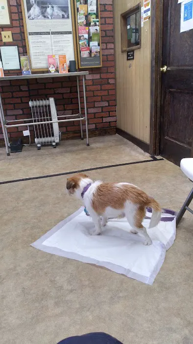 Oakcrest Veterinary Clinic Picture 8