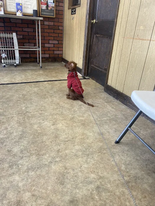 Oakcrest Veterinary Clinic Picture 1