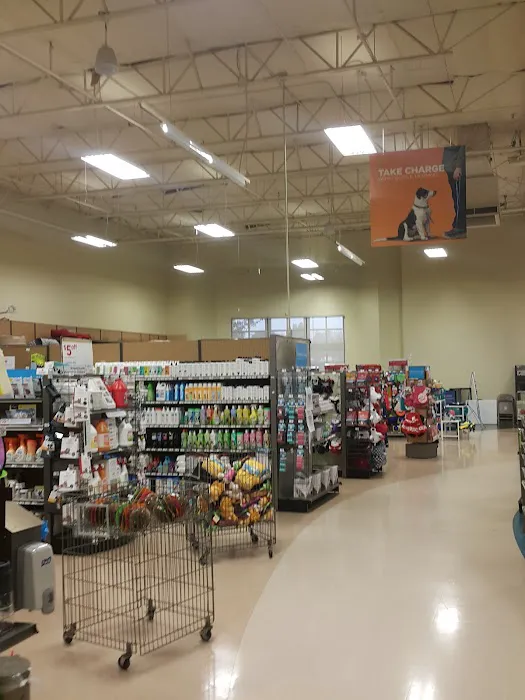 Petco Picture 2