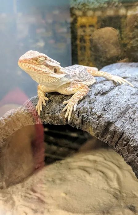 Petco Picture 8