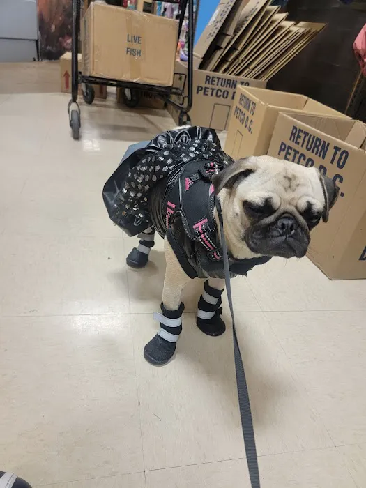 Petco Picture 6