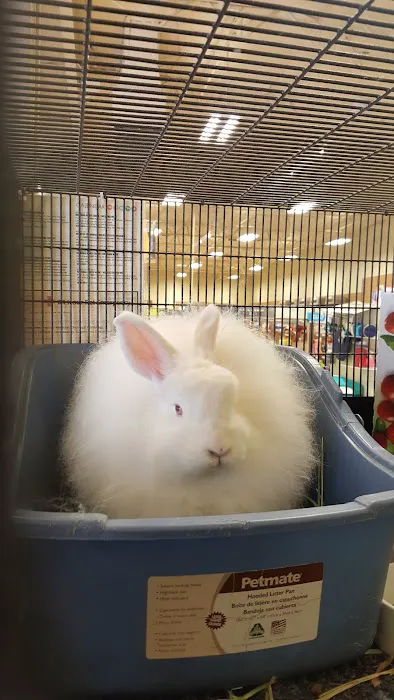 Petco Picture 3