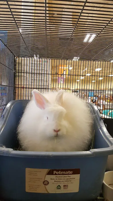 Petco Picture 4