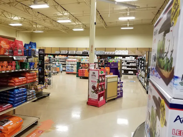 Petco Picture 9