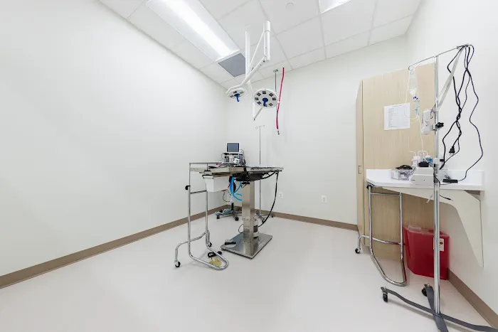 Newbridge Animal Hospital Picture 6