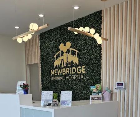 Newbridge Animal Hospital
