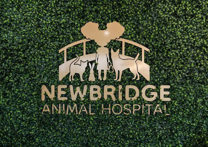 Newbridge Animal Hospital Picture 10