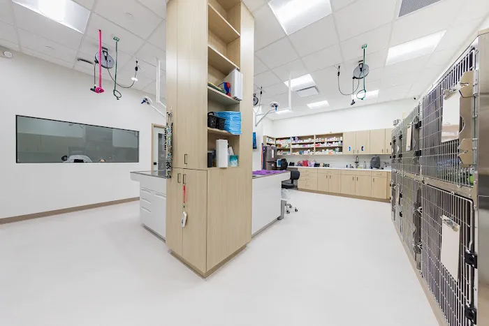 Newbridge Animal Hospital Picture 9