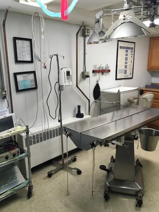 Clinton Veterinary Hospital Picture 7