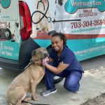 Doorstep Veterinary Care