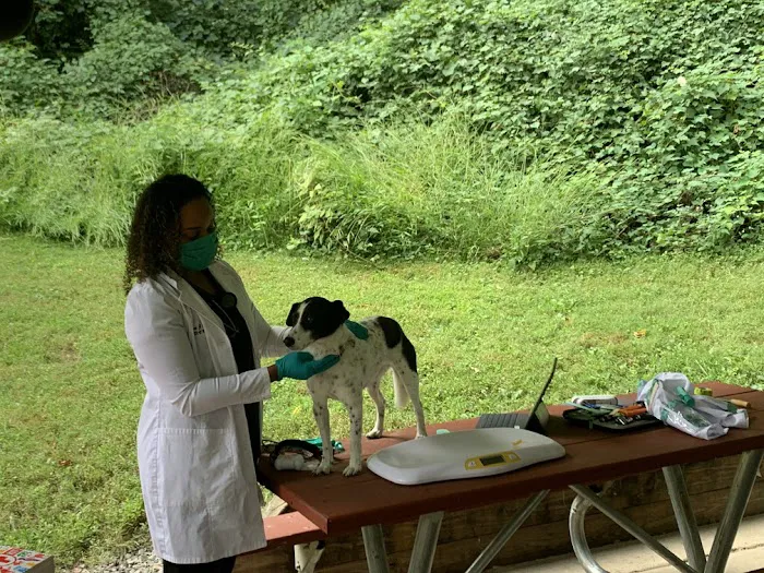 Doorstep Veterinary Care Picture 2