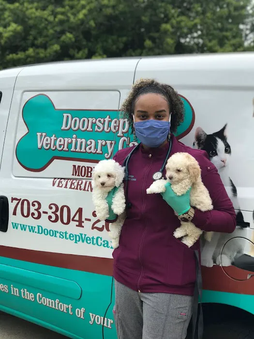 Doorstep Veterinary Care Picture 3