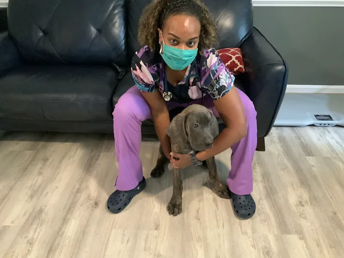 Doorstep Veterinary Care Picture 9