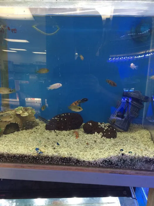 Vets Pets Picture 5