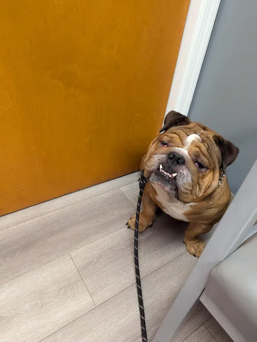 APAW Veterinary Hospital & Wellness Center Picture 1
