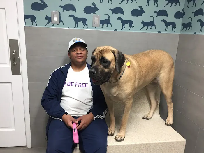 Prince George's Animal Hospital Picture 4
