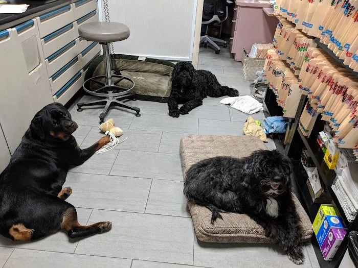 Prince George's Animal Hospital Picture 7