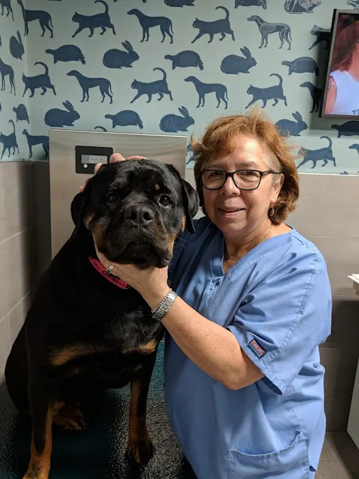 Prince George's Animal Hospital Picture 2