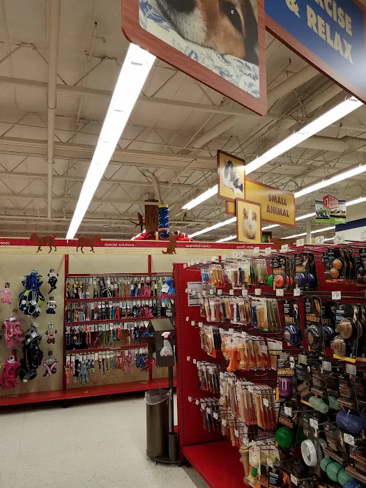 Petco Picture 3