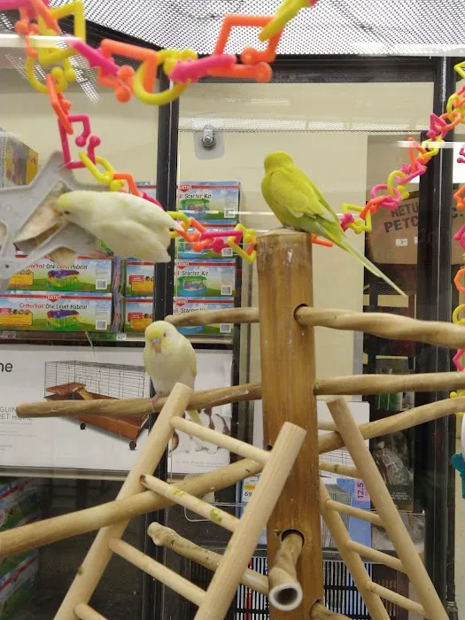 Petco Picture 2