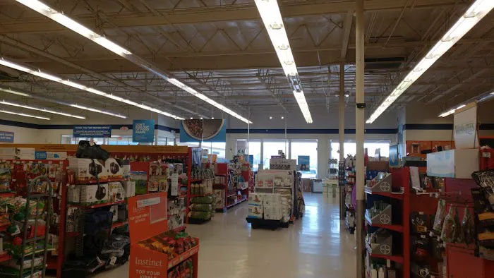 Petco Picture 5