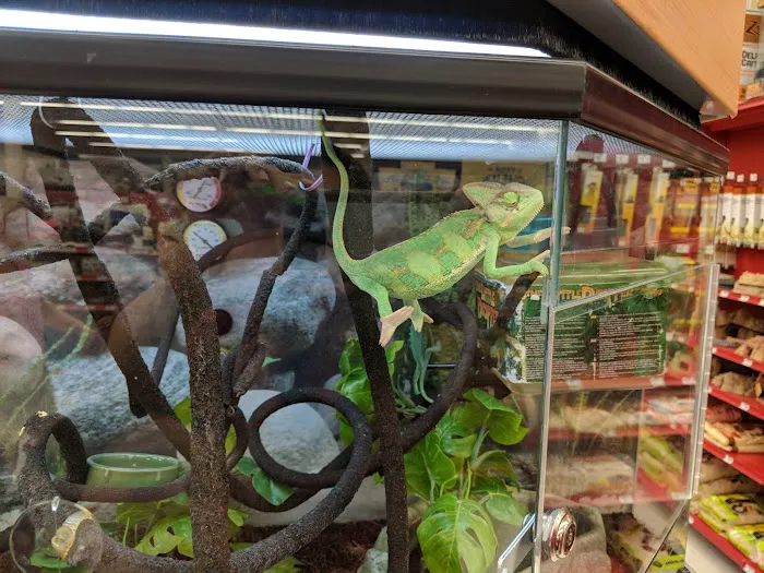 Petco Picture 6