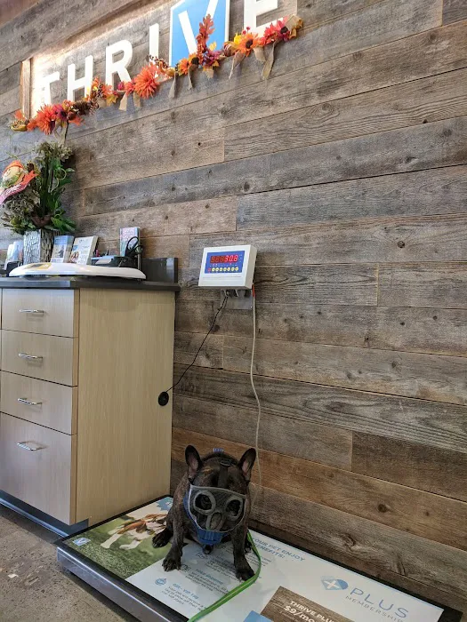 Petco Picture 9