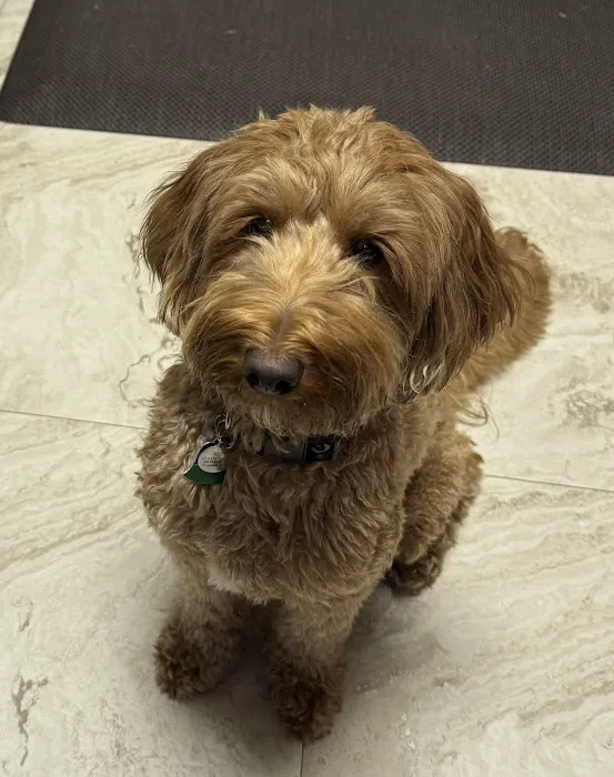 Banfield Pet Hospital Picture 2