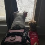 Banfield Pet Hospital