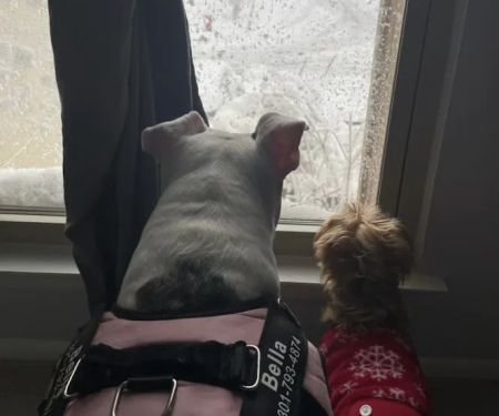 Banfield Pet Hospital
