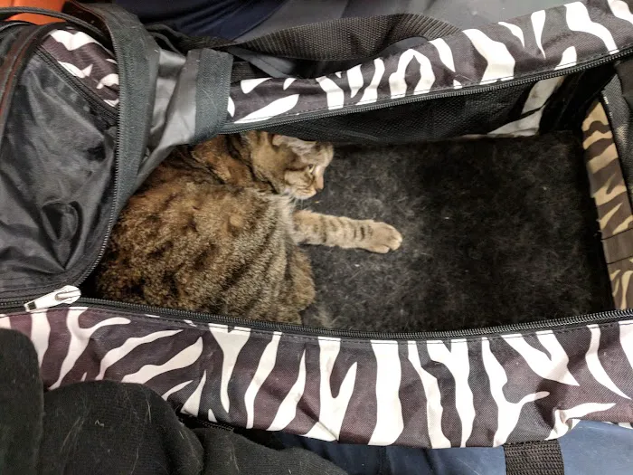Banfield Pet Hospital Picture 5