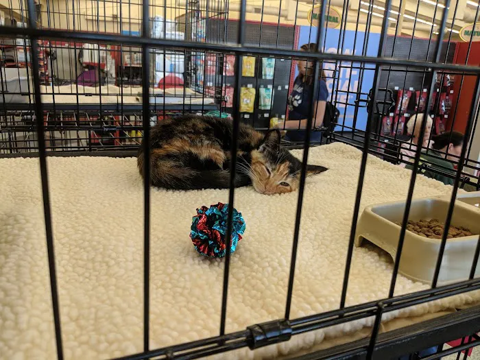 Petco Picture 4