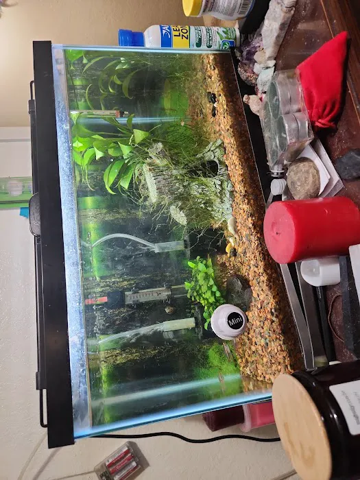 Petco Picture 3